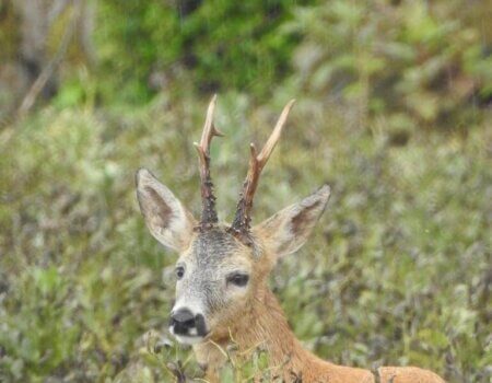 wta_2248_WhatsApp Image 2023-03-15 at 10.55.35