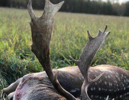 wta_2248_WhatsApp Image 2023-03-15 at 11.17.13 (1)