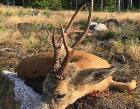 wta_2248_WhatsApp Image 2023-03-15 at 11.17.13 (2)