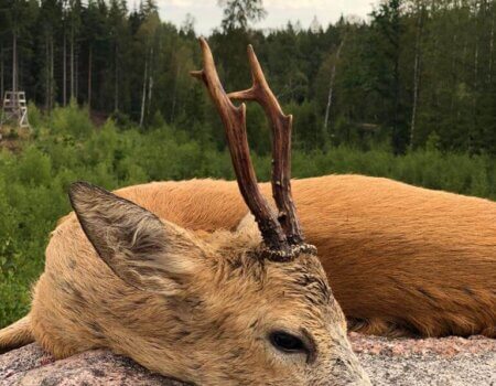 wta_2248_WhatsApp Image 2023-03-15 at 11.17.13