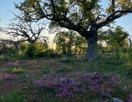 wta_2248_WhatsApp Image 2023-03-15 at 11.17.14 (4)