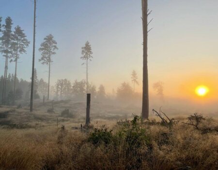 wta_2248_WhatsApp Image 2023-03-15 at 11.17.14