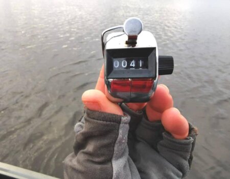 wta_2249_WhatsApp Image 2023-03-11 at 19.23.22 (1)