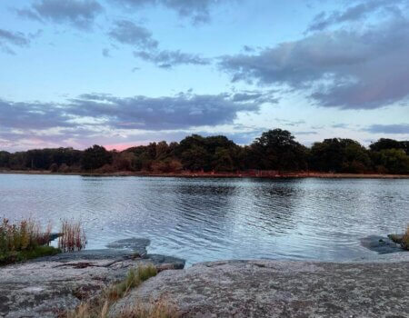 wta_2249_WhatsApp Image 2023-03-15 at 11.17.14