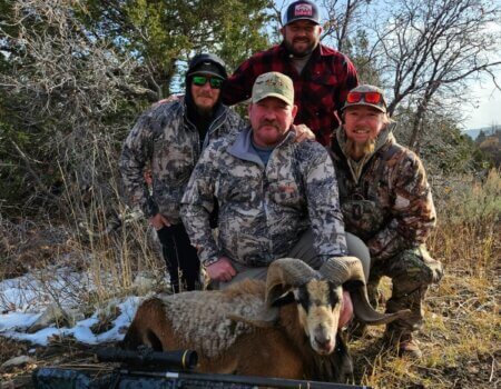 wta_2251_1f88930c-3f1b-44c4-ac56-6679287a6e27