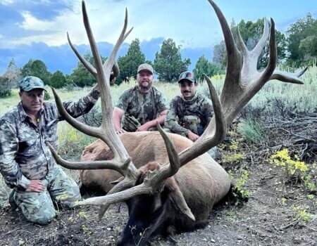 wta_2251_7d7cc587-a6da-4a43-9bb0-b8c9226dc9aa