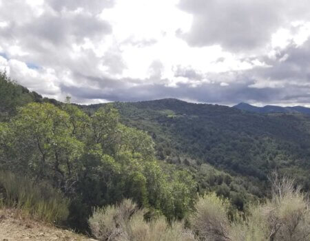 wta_2251_IMG-20220824-WA0010