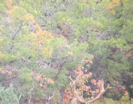 wta_2251_IMG-20221007-WA0003