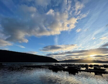 wta_2254_Jack Carter - Fleet awaits.JPG