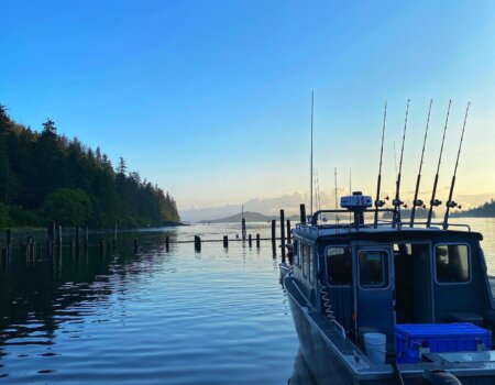 wta_2254_Pienody Morning view