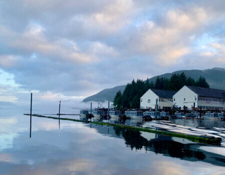 wta_2254_Reflections 1200x628