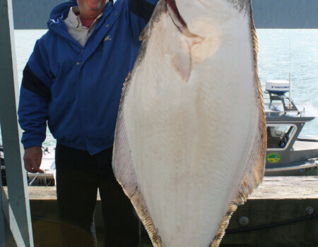 wta_2254_WFR Jonathan_Saltman_Halibut_2019_RT
