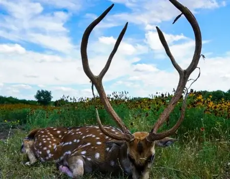 wta_2255_rs=w_984,h_905