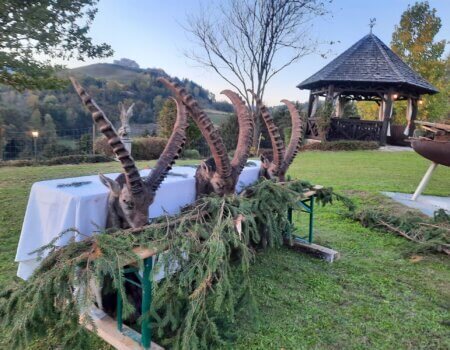 wta_2261_WhatsApp Image 2023-05-09 at 18.27.02