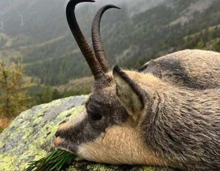 wta_2261_WhatsApp Image 2024-06-26 at 12.21.16