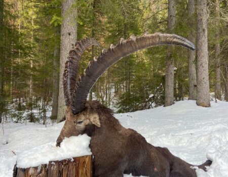 wta_2261_WhatsApp Image 2024-06-26 at 12.21.20 (13)