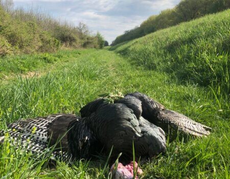 wta_2266_406570f0-b168-4093-beaf-436b2596fc4d