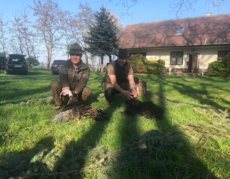 wta_2266_c94a24ed-48b2-4cd4-8775-c45afaad5077