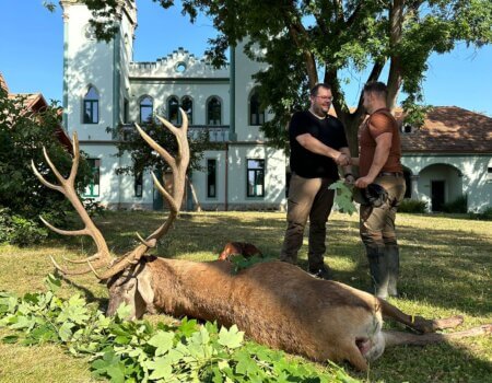 wta_2267_f078afc2-4bc0-45e1-8ba1-3df9294f826a