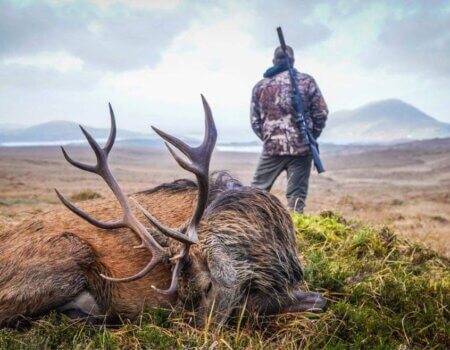 wta_2268_dd28744c-fcac-4ff8-ae28-f38c20fb6a4e