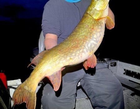 wta_2270_1df261fa-1563-44a4-894c-989c07f1eef0