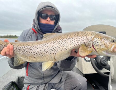 wta_2270_42df1f08-bd60-4640-b1d7-12176029a179