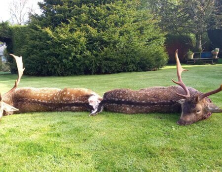 wta_2273_1ff0af83-f4ab-4655-a9cf-04052fb72d99