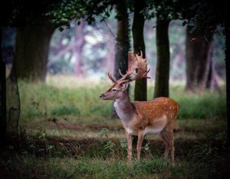 wta_2273_4af0bb7f-1c4f-4fc5-a5be-d73fc13d48e6