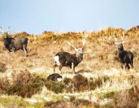 wta_2273_6f484b91-9f4e-4b04-85ab-935e01d7ee87