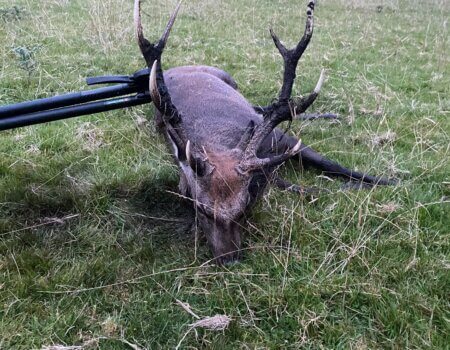 wta_2273_7f18ac7b-19b8-4379-b88f-8676fcf8a1b1