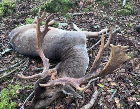 wta_2273_WhatsApp Image 2025-04-23 at 16.13.52