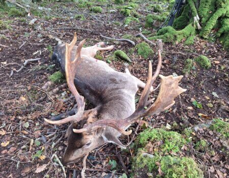 wta_2273_WhatsApp Image 2025-04-23 at 16.13.59 (6)