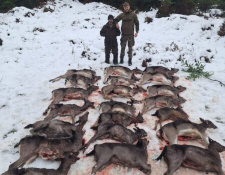 wta_2273_WhatsApp Image 2025-04-23 at 16.13.59 (9)