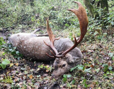 wta_2273_d182ac65-c1a5-4a57-a6a2-2923ee9f3546