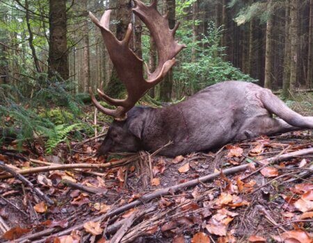 wta_2273_ec1f6ad3-b190-44fc-8a24-9f6f04dbf822