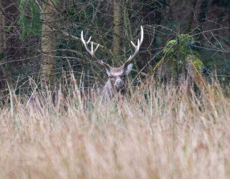 wta_2273_ed95470e-adb6-47cd-8511-43d6c139417c