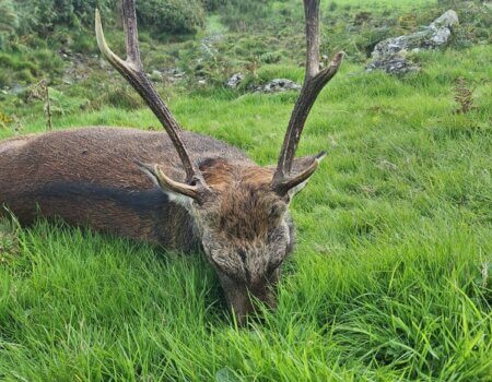 wta_2274_WhatsApp Image 2025-04-23 at 16.13.58 (1)