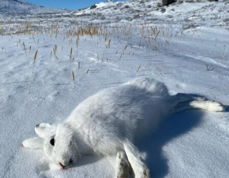 wta_2277_WhatsApp Image 2024-03-26 at 08.56.10 (3)