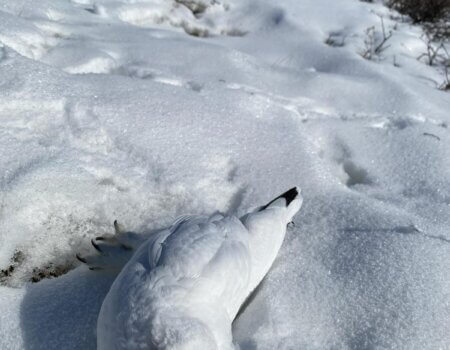 wta_2277_WhatsApp Image 2024-03-26 at 08.56.10 (4)