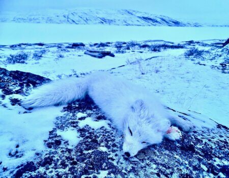 wta_2277_WhatsApp Image 2024-03-26 at 08.56.10 (5)