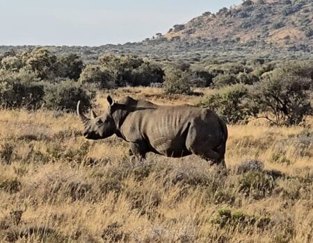 wta_2672_20250803_163010(1)