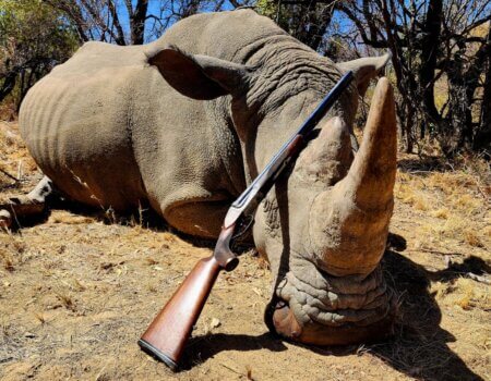 wta_2672_IMG-20250821-WA0013