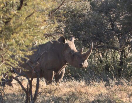 wta_2672_IMG_3657_resized