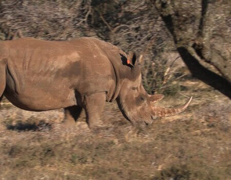 wta_2672_IMG_3686_resized