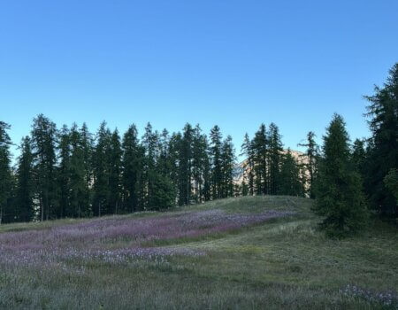 wta_2278_WhatsApp Image 2024-09-11 at 09.23.34