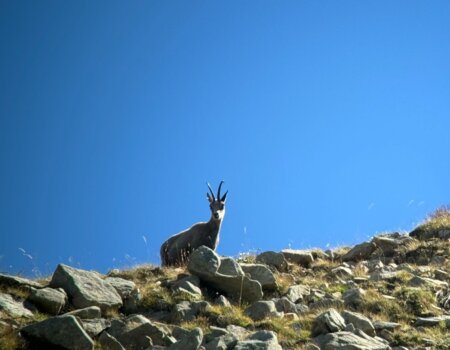 wta_2278_WhatsApp Image 2024-09-11 at 09.23.35 (1)