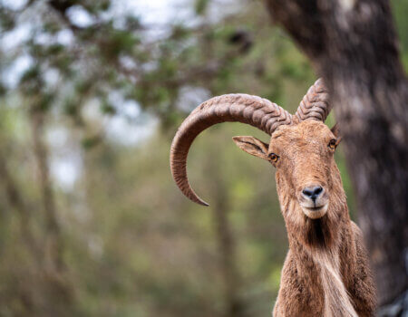 wta_2280_2025.02.03.110235-Morocco-7M408279-EDIT