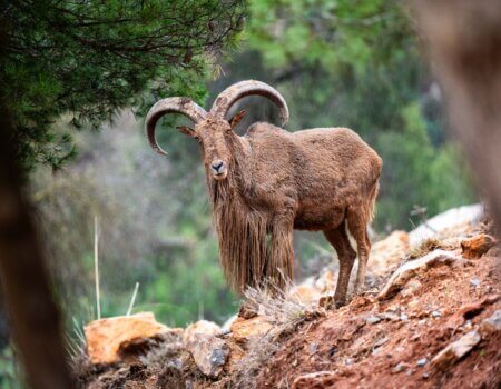 wta_2280_2025.02.03.111624-Morocco-7M408325-EDIT