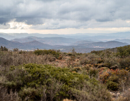 wta_2280_2025.02.04.170748-Morocco-7M408664-EDIT