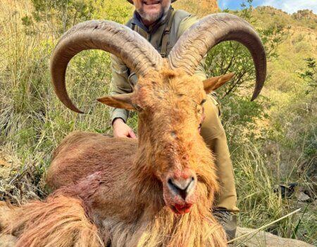 wta_2280_52237efe-9dd5-4ccf-b560-4d65b0161548